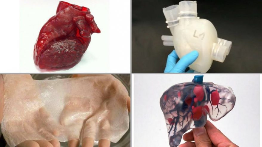 3d printed organs