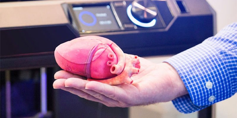 A white hand holds a 3D printed human heart