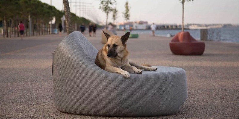 A dog sits on a 3D printed street sofa. 