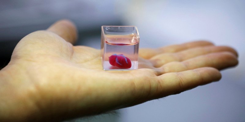 3d printed miniature heart