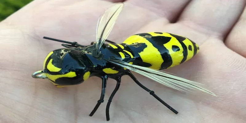 Wasp Lures