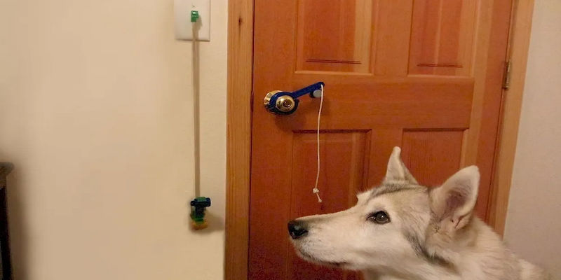 3D Printed Accessibility for Assistance Animals