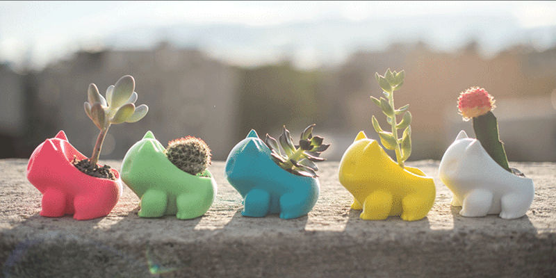 Bulbasaue Planters 3D