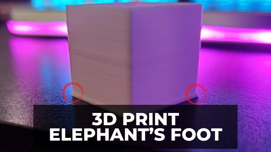 3d print elephants foot