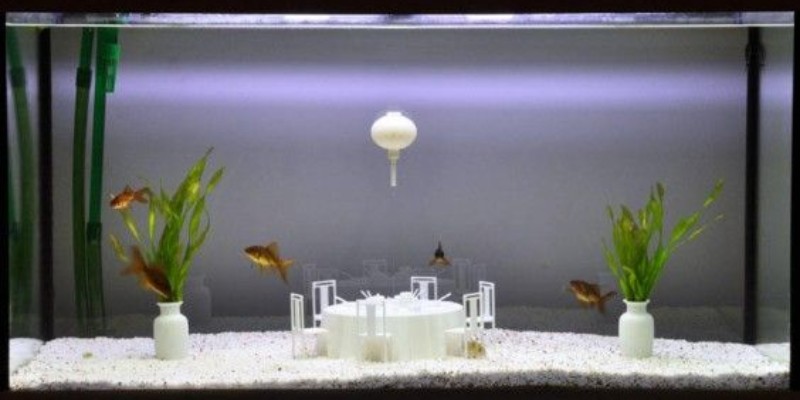 What Filaments Are Safe For Aquariums